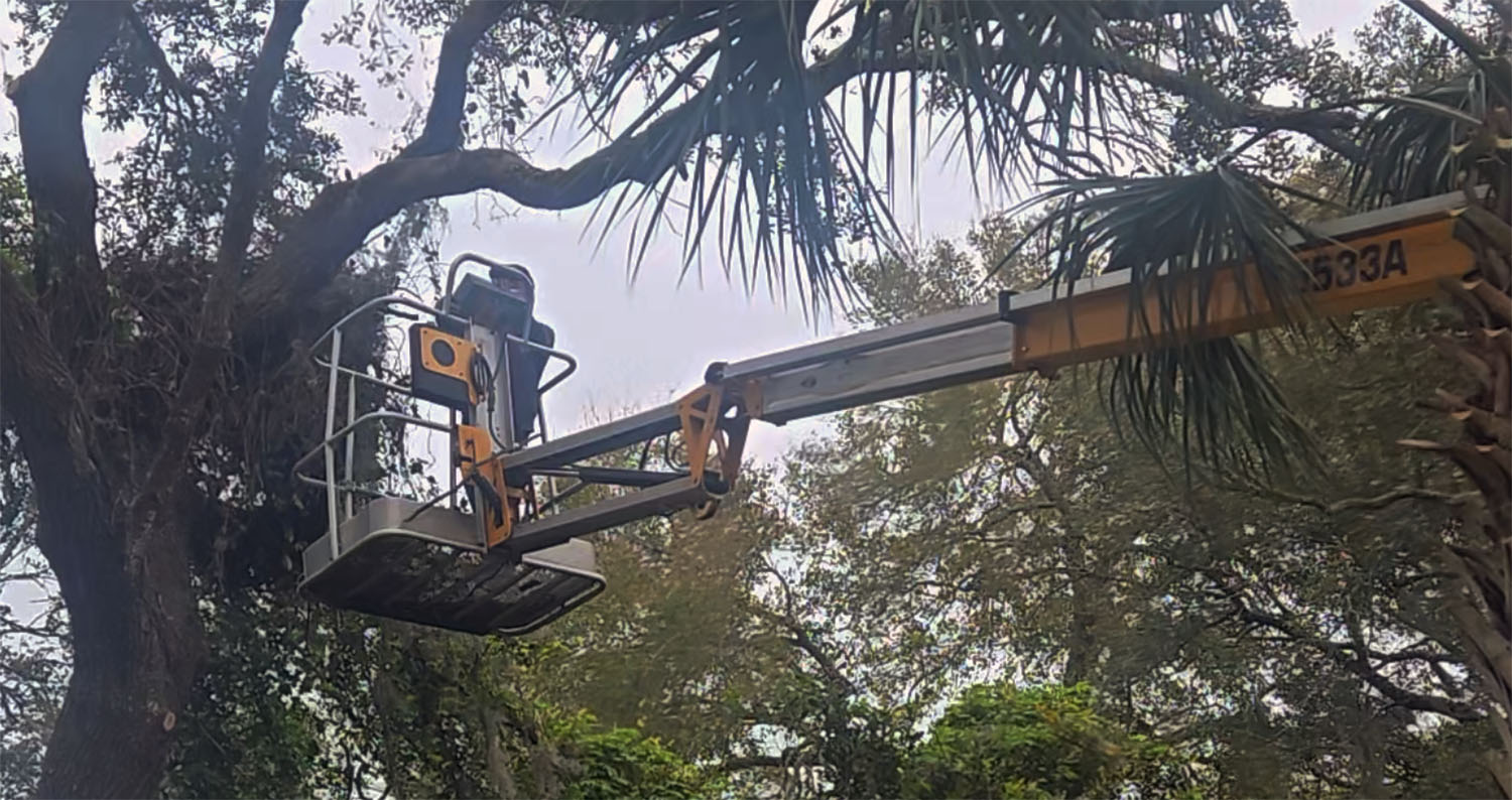 Emerald Coast Tree Trimming