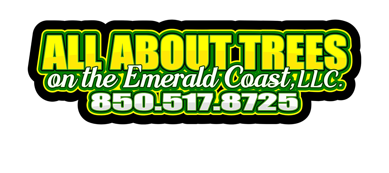 Santa Rosa Beach Tree Service Company Santa Rosa Beach Tree Service Company