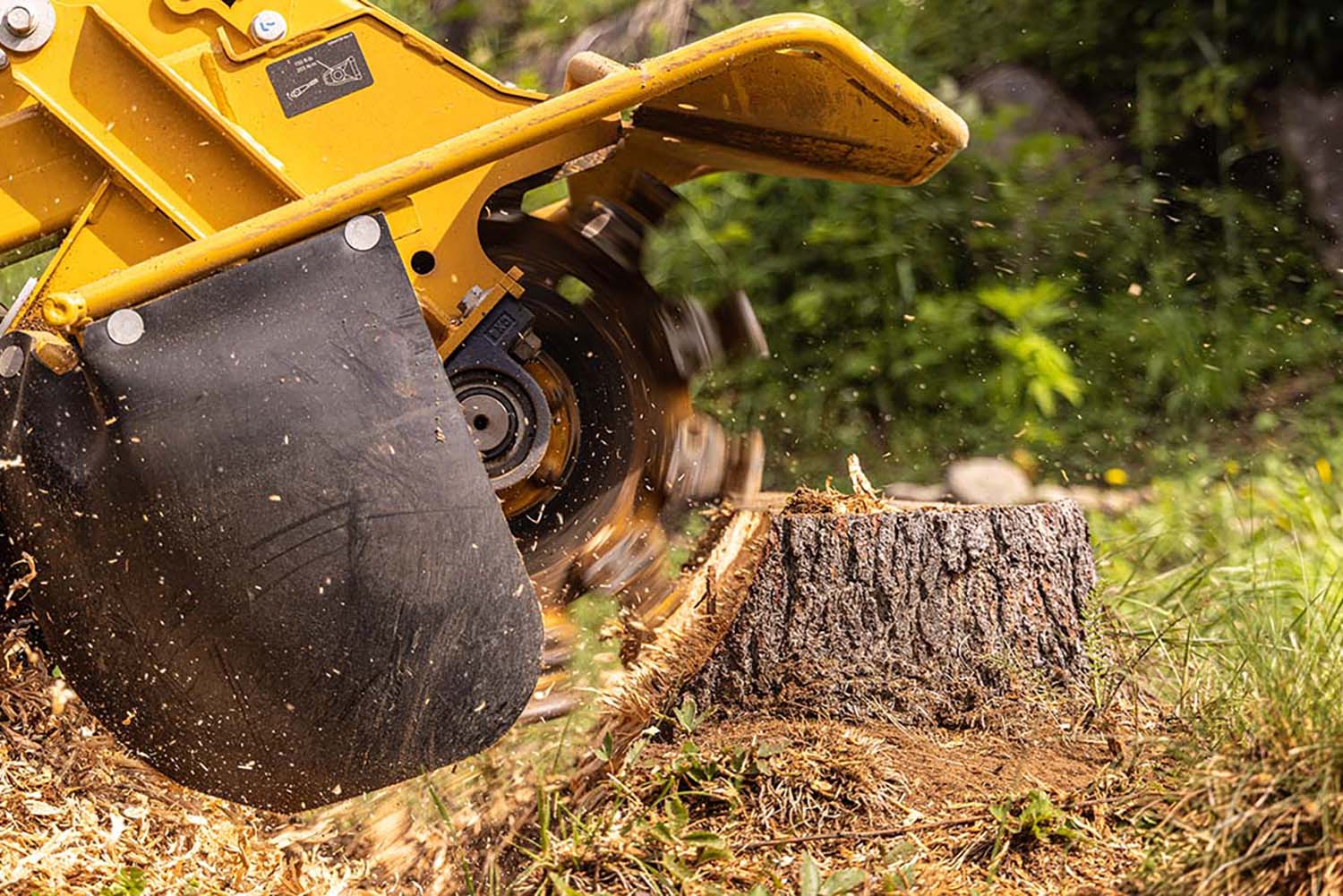 Stump Grinding